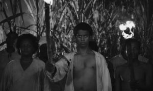 Read more about the article A Review of Black Zombie