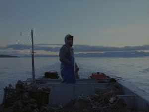 Read more about the article A Review of Tuktuit: Caribou and Concrete Turned to Sand